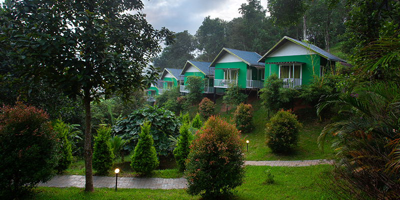 The Arbour Resort Munnar