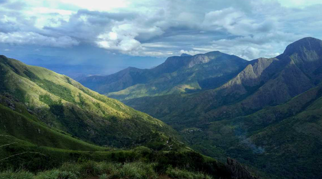 The Arbour Resort Munnar